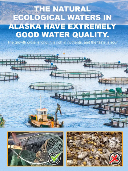 Alaskan Snow Crab Ready-to-EatCrispy Crab-Ying